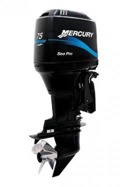 Mercury 75 ELH SeaPro